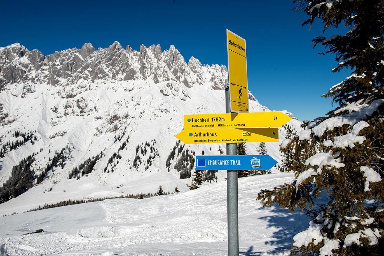 Skyberg Chalet Mühlbach am Hochkönig 외부 사진